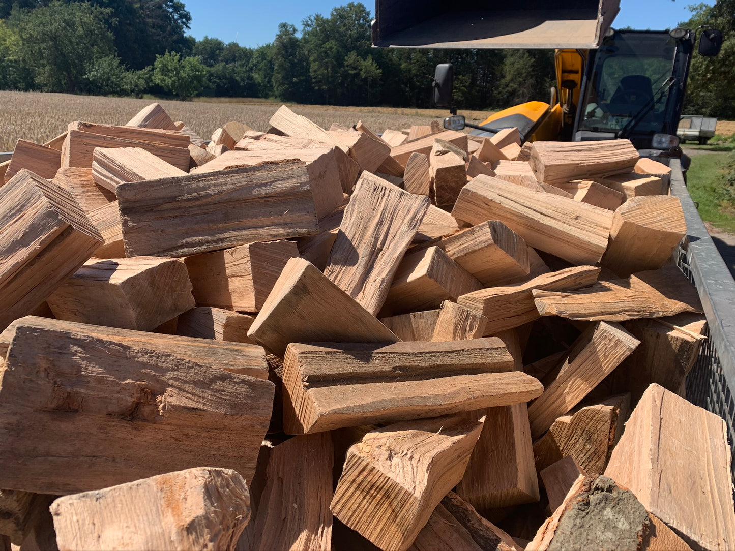Kaminholz reine Buche 25cm trocken